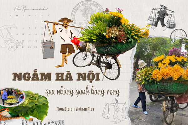 Ngắm
